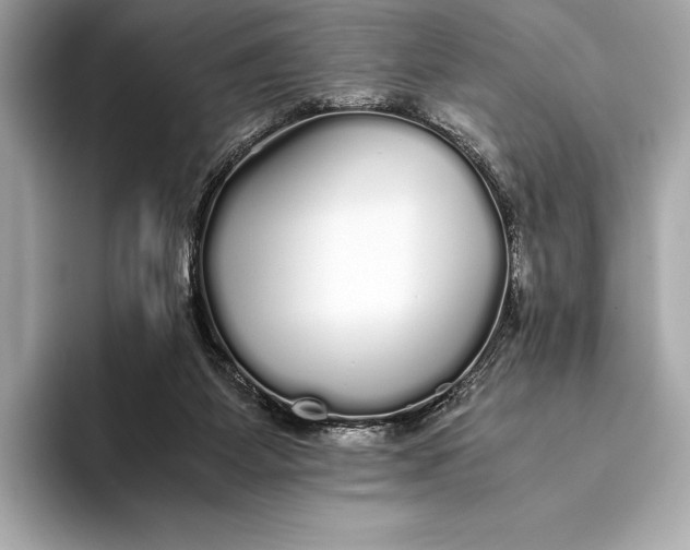 X0000093530115200711021317