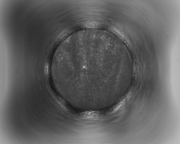 X0000093530117200711021317