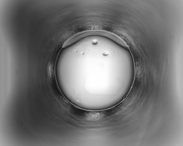 X0000093530123200711021317