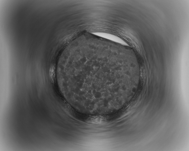 X0000093530127200711021317