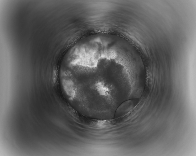 X0000093530130200711021317