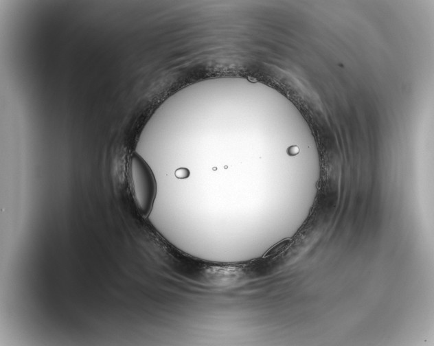 X0000093530133200711021317