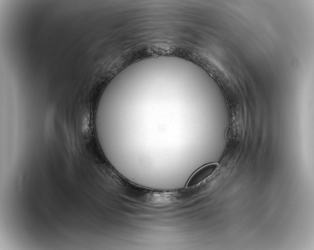 X0000093530134200711021317