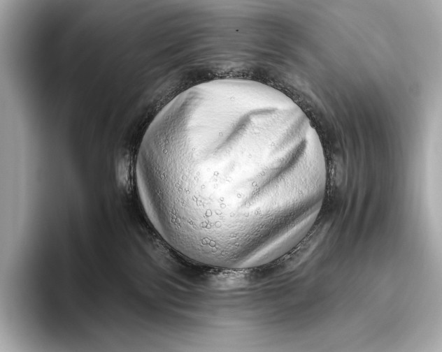 X0000093530138200711021317