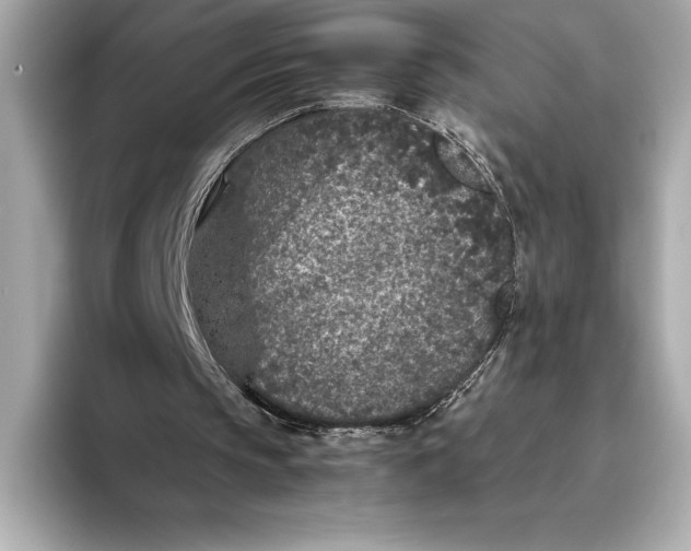 X0000093530145200711021317