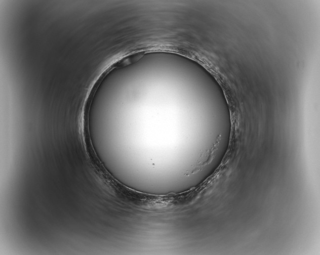 X0000093530148200711021317