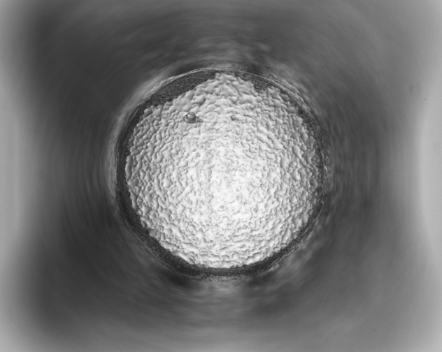 X0000093530149200711021317