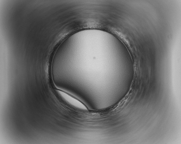 X0000093530154200711021317