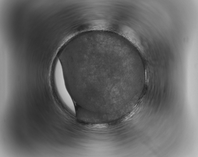 X0000093530156200711021317