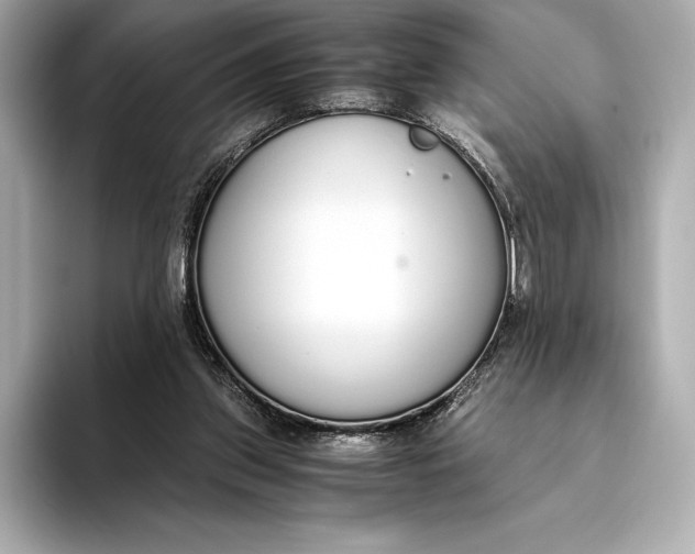 X0000093530157200711021317