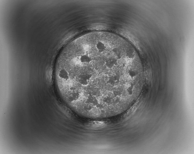 X0000093530159200711021317