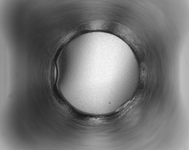 X0000093530164200711021317