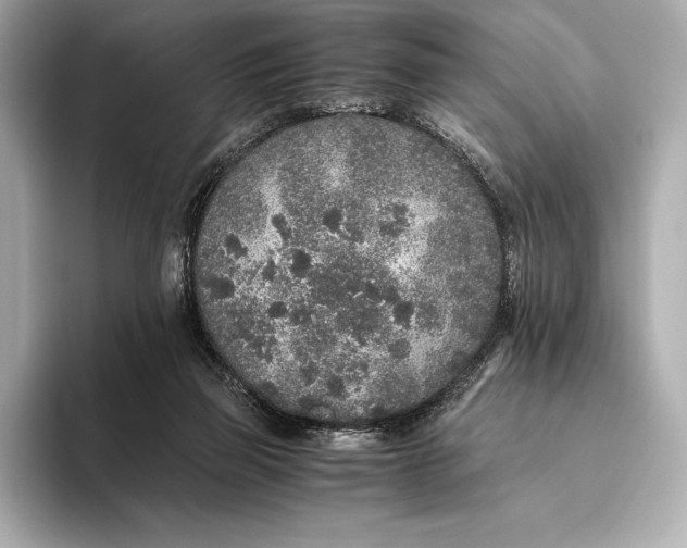 X0000093530165200711021317