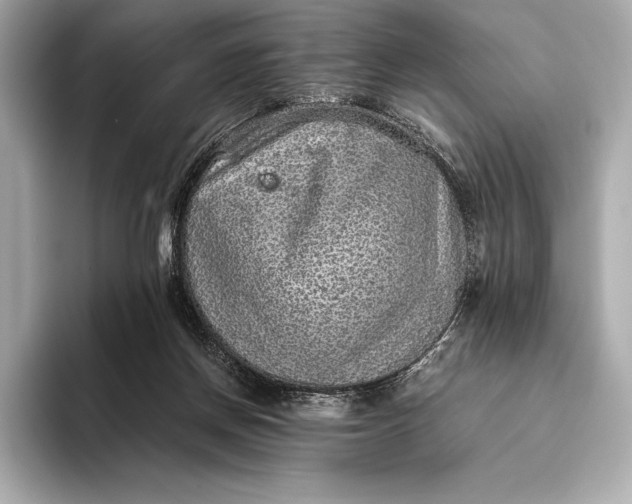 X0000093530166200711021317