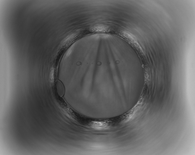 X0000093530167200711021317