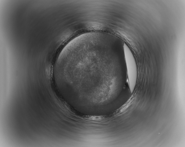 X0000093530168200711021317