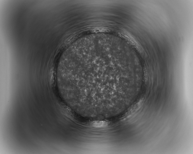 X0000093530169200711021317