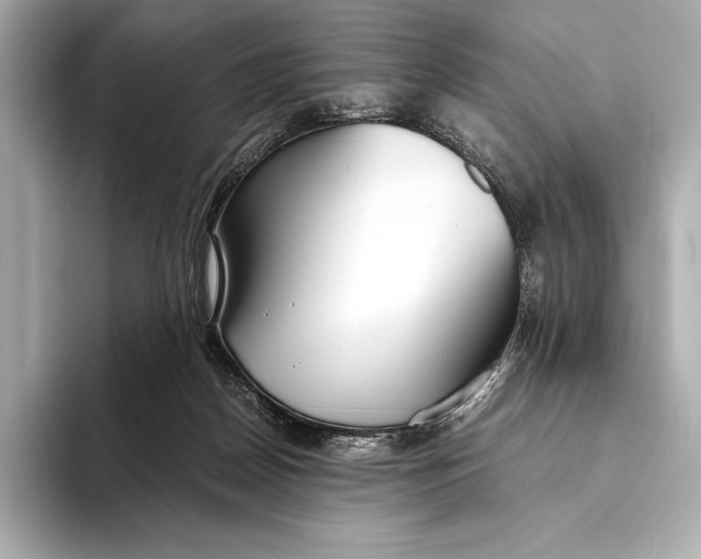 X0000093530170200711021317