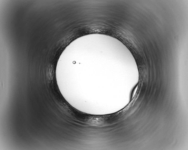 X0000093530174200711021317