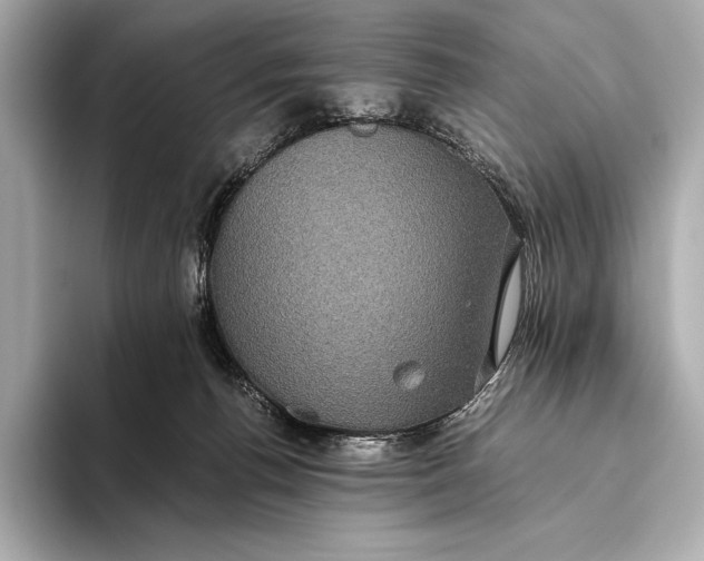 X0000093530176200711021317