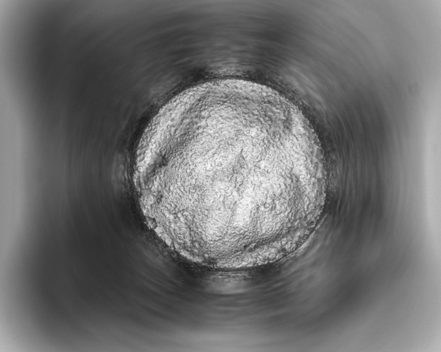 X0000093530179200711021317