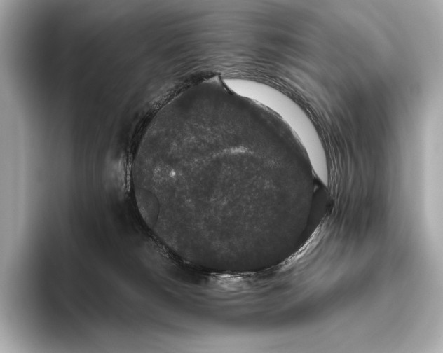 X0000093530180200711021317