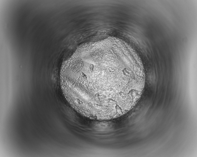 X0000093530181200711021317