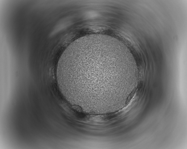 X0000093530182200711021317