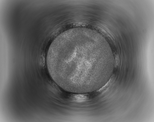 X0000093530183200711021317