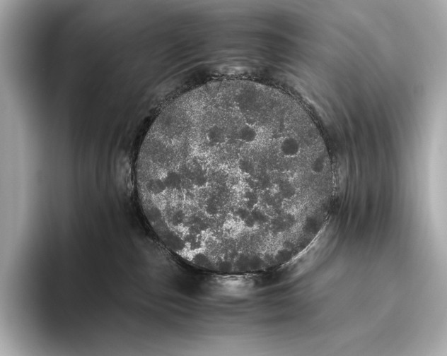 X0000093530187200711021317