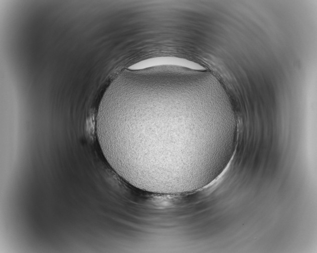 X0000093530190200711021317