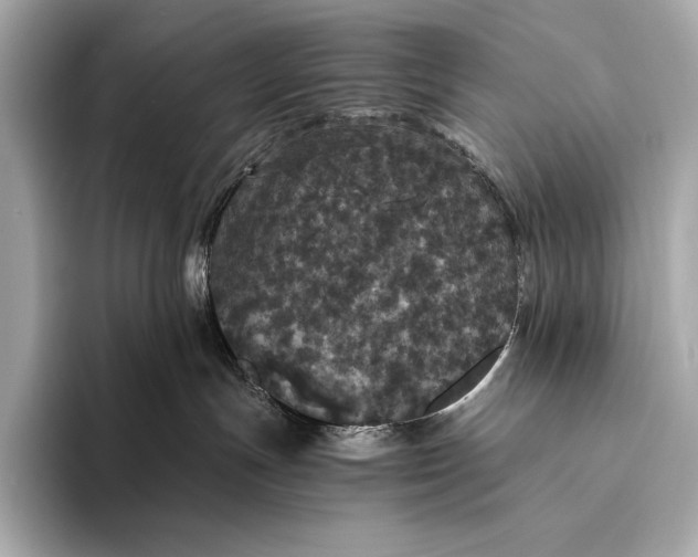 X0000093530191200711021317