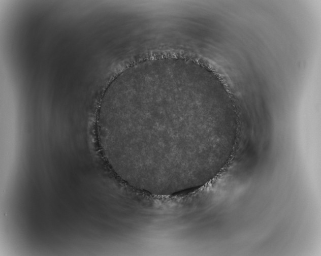 X0000093530192200711021317