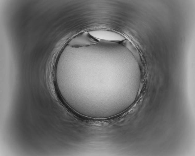 X0000093530193200711021316