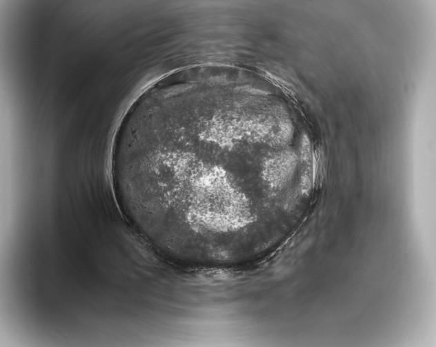 X0000093530195200711021316