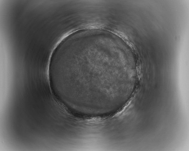 X0000093530196200711021316