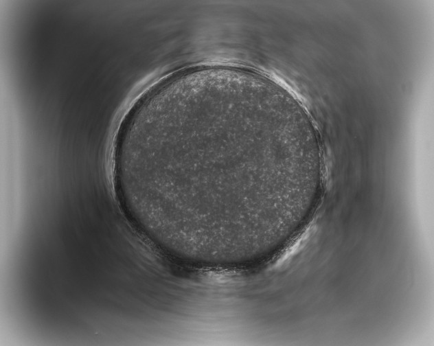 X0000093530199200711021316