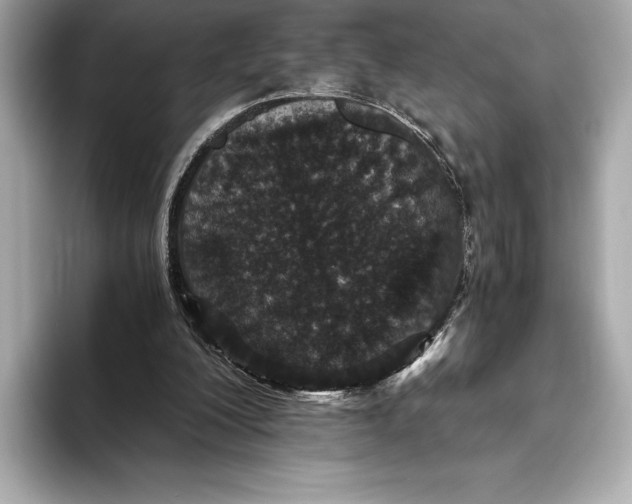 X0000093530200200711021316