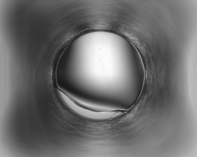 X0000093530201200711021316