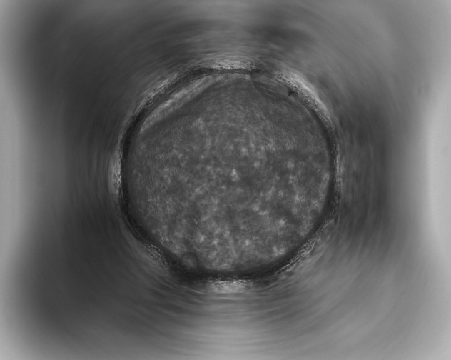 X0000093530202200711021316