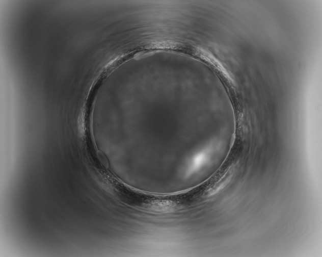 X0000093530203200711021316