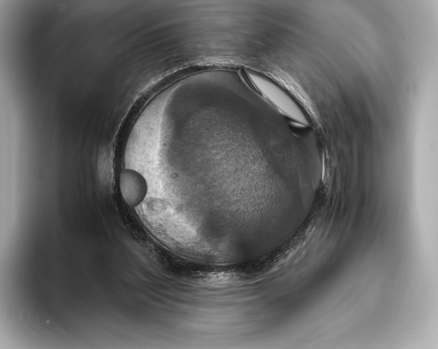 X0000093530204200711021316