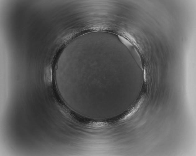 X0000093530205200711021316