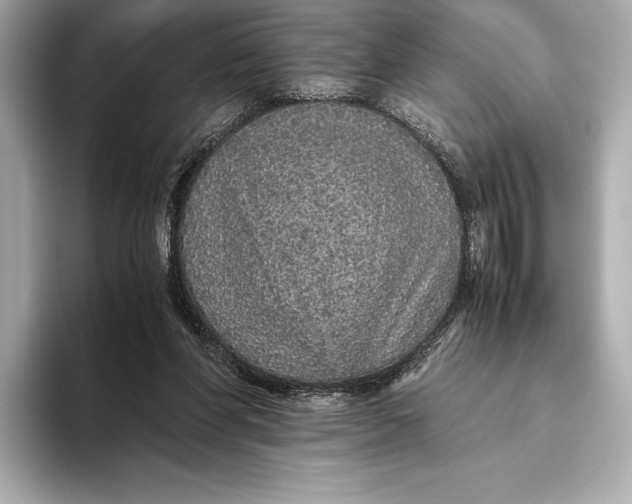 X0000093530206200711021316