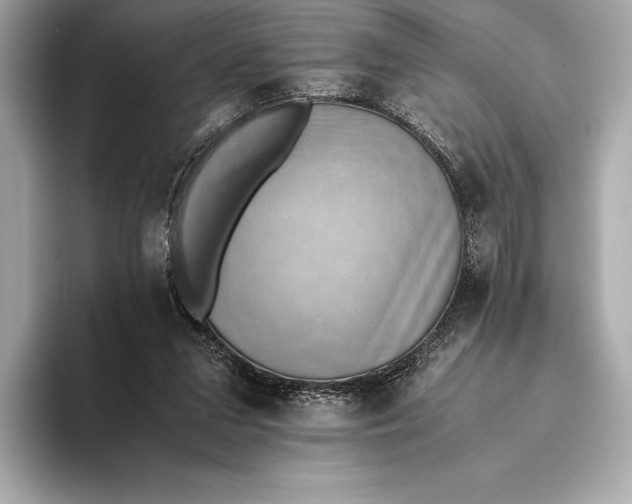 X0000093530207200711021316