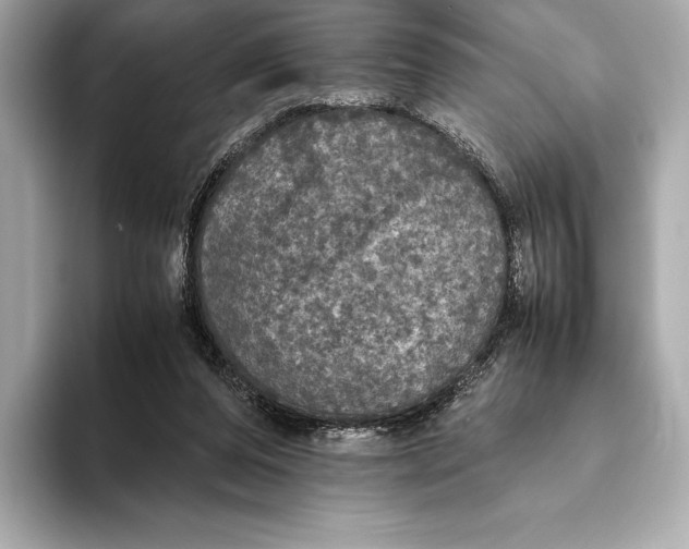 X0000093530208200711021316