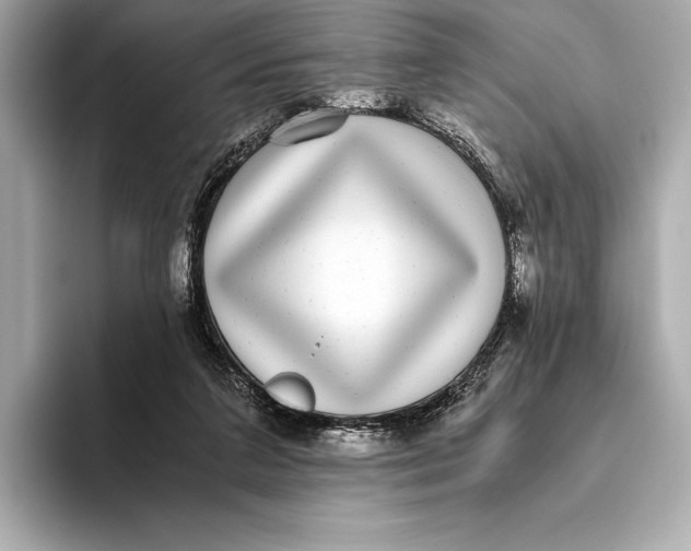 X0000093530211200711021316