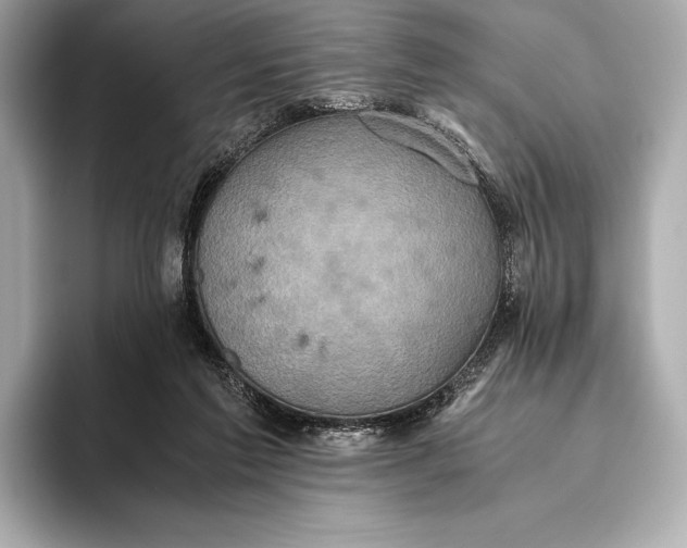 X0000093530213200711021316