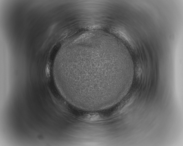 X0000093530214200711021316