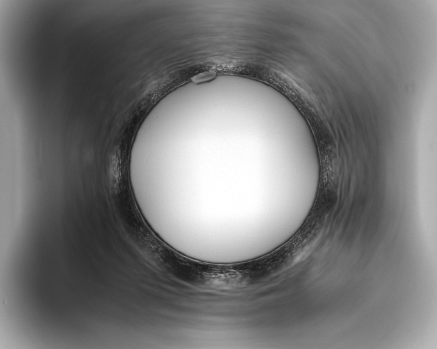 X0000093530215200711021316